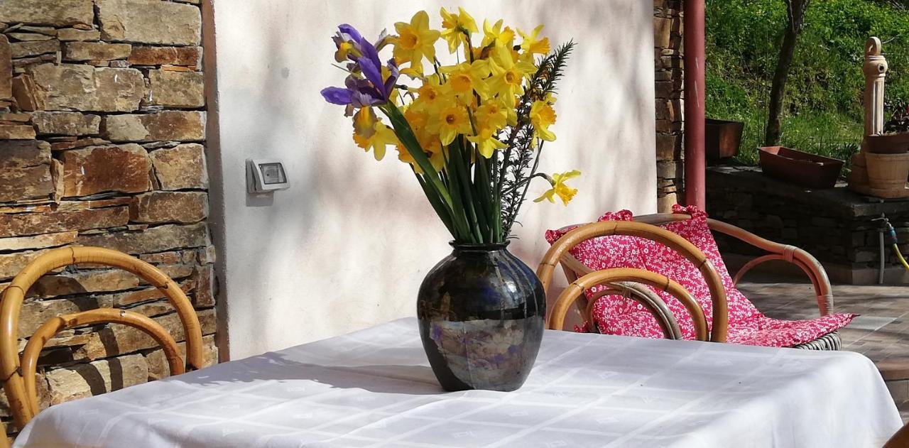 Agrifoglio B&B Con Giardino Aritzo Exterior foto