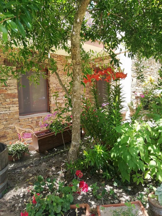 Agrifoglio B&B Con Giardino Aritzo Exterior foto